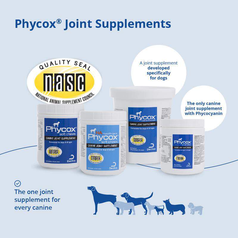 PhyCox Soft Chews