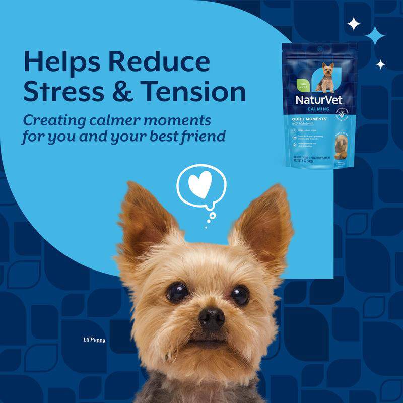 NaturVet Quiet Moments Calming Aid Plus Melatonin, 65 Soft Chews