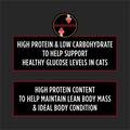Purina Pro Plan Veterinary Diets DM Dietetic Management Formula Adult Dry Cat Food