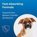 PetAg Sure Grow 100 Vitamin Puppy Supplement, 100 chewable tablets