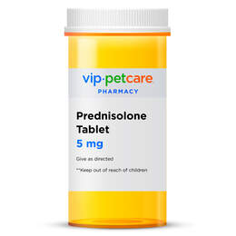 Prednisolone Tablet