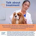 Vetmedin Solution 1.5 mg/ml for Dogs, 50 ml