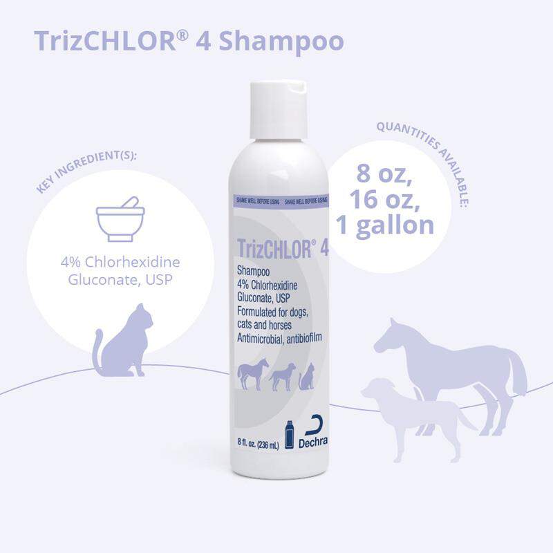 TrizCHLOR 4 Shampoo