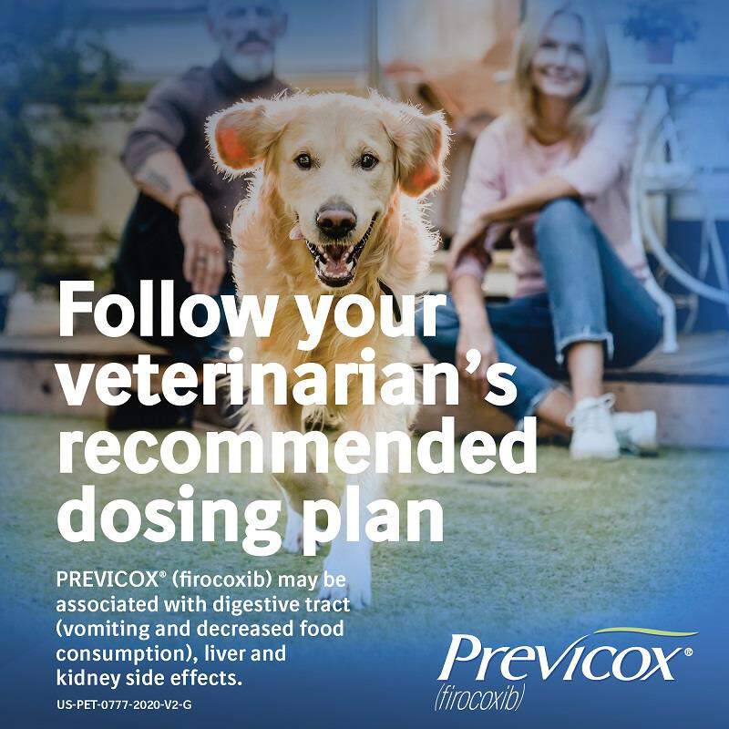 Previcox Chewable Tablets for Dogs