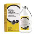 Polyflex (ampicillin for injectable suspension 25 g) for Cattle
