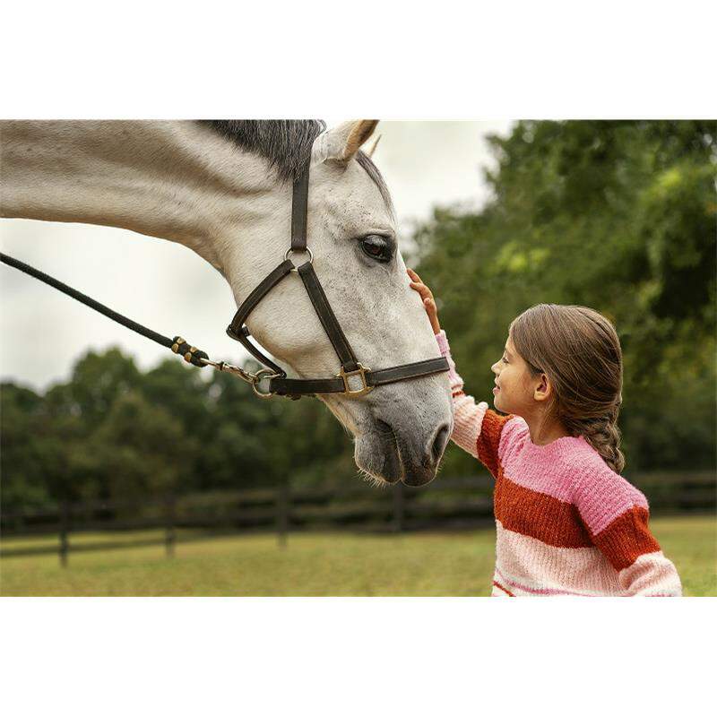 Zoetis Quest Equine Gel for Horses with Worms, 1 syringe, 0.04 ounces