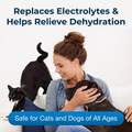 PetAG Pet Pectillin Anti-Diarrheal Medication for Dogs & Cats, 4 oz