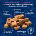 NaturVet Bladder Support Plus Cranberry Soft Chews for Dogs, 60 ct