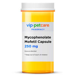 Mycophenolate Mofetil 250 mg Capsule