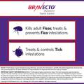 Bravecto Topical Solution for Dogs