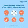 Interceptor Plus Chewable Tablets for Dogs