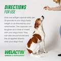 Nutramax Laboratories, Inc. Welactin Canine Softgel Capsules for Dogs, 120 Count