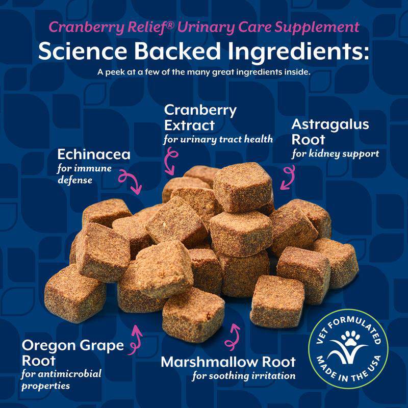 NaturVet Cranberry Relief Healthy Urinary Tract Plus Echinacea Soft Chews for Dogs
