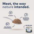 ZIWI Peak Mackerel Recipe Canned Cat Food, 12 x 6.5 oz cans