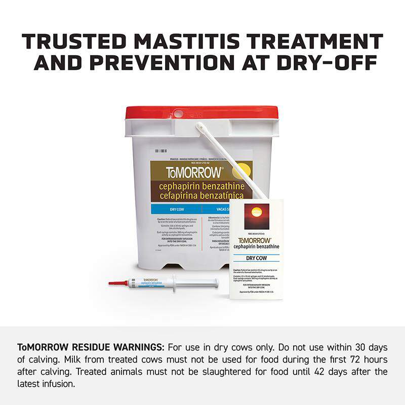 ToMORROW Mastitis Treatment for Dry Cows