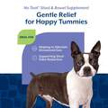 NaturVet No Toot Gas Aid Plus Fennel for Dogs, 70 Soft Chews