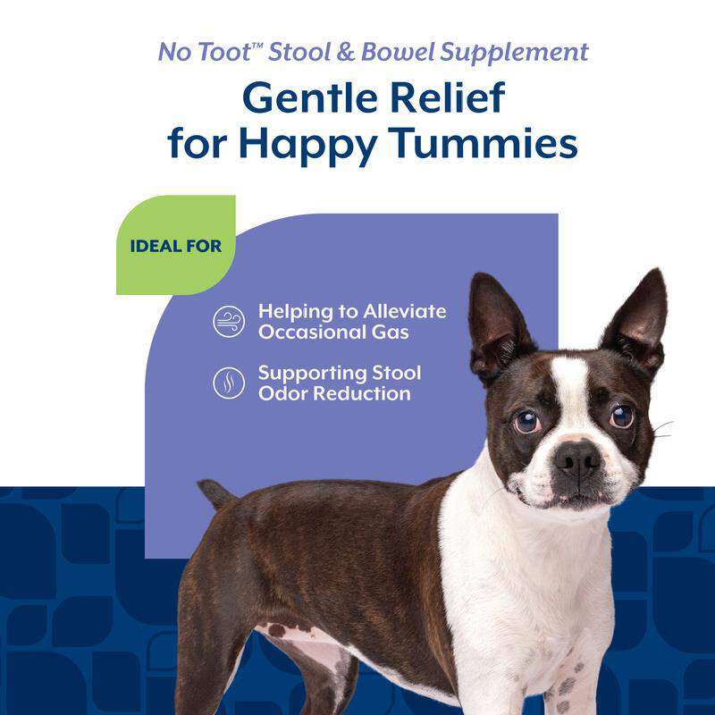 NaturVet No Toot Gas Aid Plus Fennel for Dogs, 70 Soft Chews
