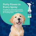 NaturVet Potty Here Training Aid Spray, 32 oz