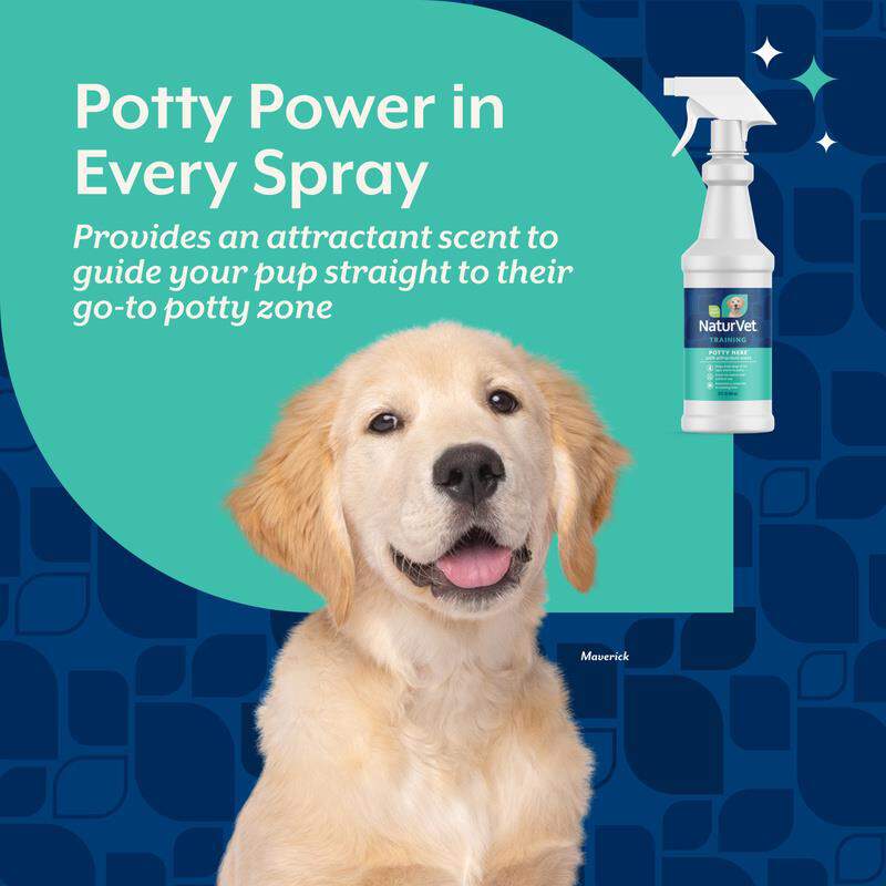 NaturVet Potty Here Training Aid Spray, 32 oz