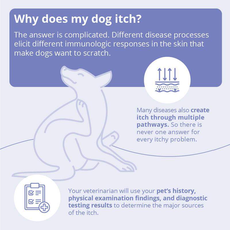 MiconaHex Triz