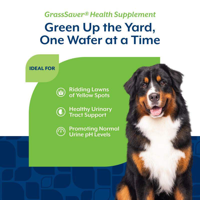 NaturVet GrassSaver, 300 Chewable Wafers