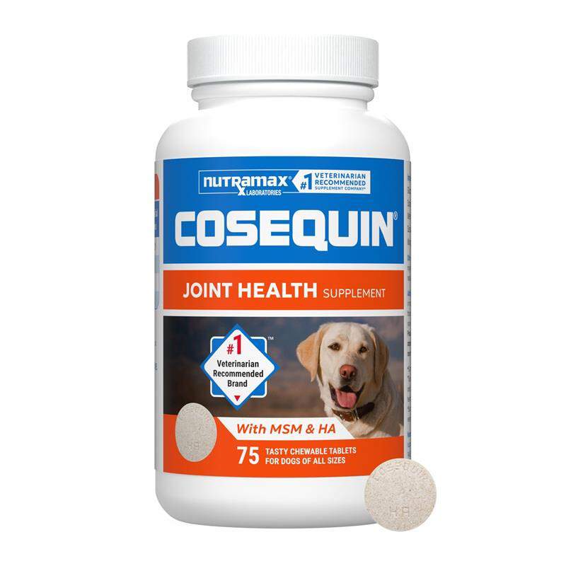 Nutramax Cosequin Maximum Strength Plus MSM and HA for Dogs, 75 Chew Tabs