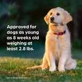 Simparica Trio Chewable Tablets for Dogs
