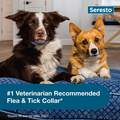 Seresto for Dogs