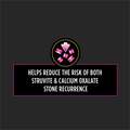 Purina Pro Plan Veterinary Diets UR St/Ox Urinary Formula Adult Dry Cat Food