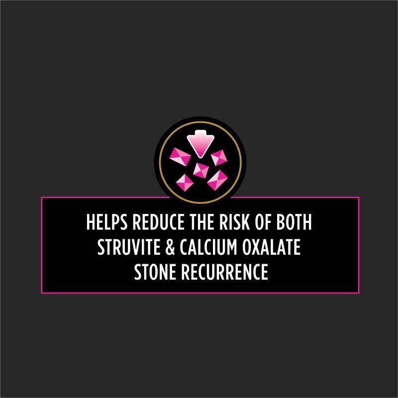Purina Pro Plan Veterinary Diets UR St/Ox Urinary Formula Adult Dry Cat Food