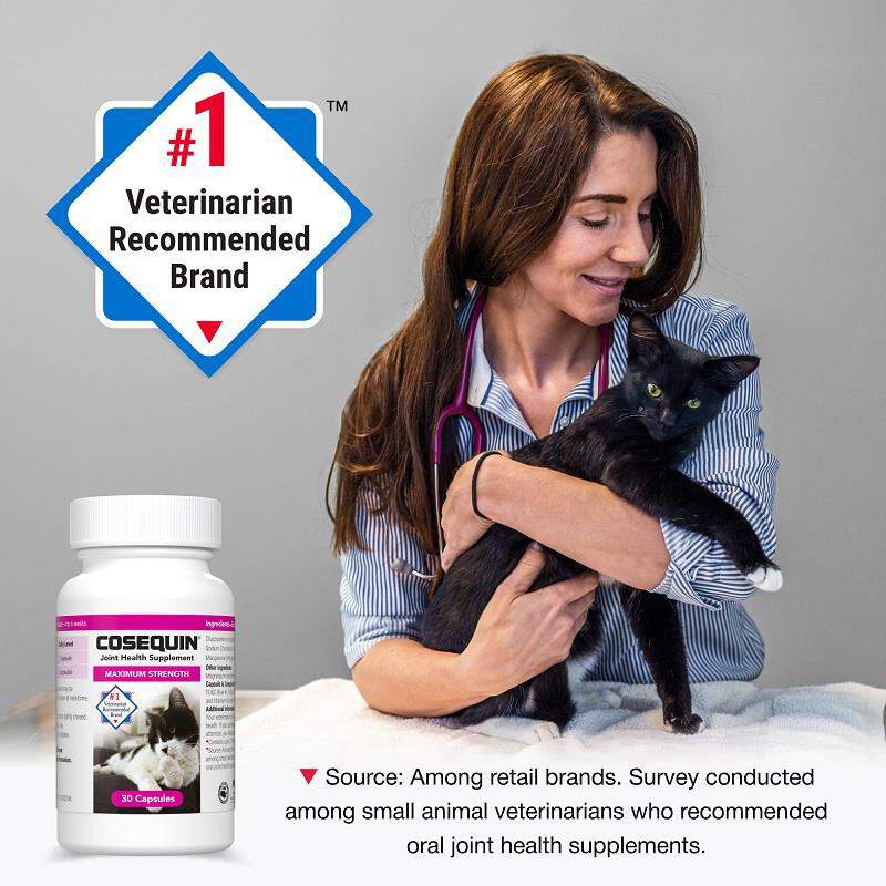 Cosequin Maximum Strength Joint Health Supplement for Cats, 30 Sprinkle Capsules