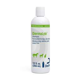 DermaLyte Shampoo