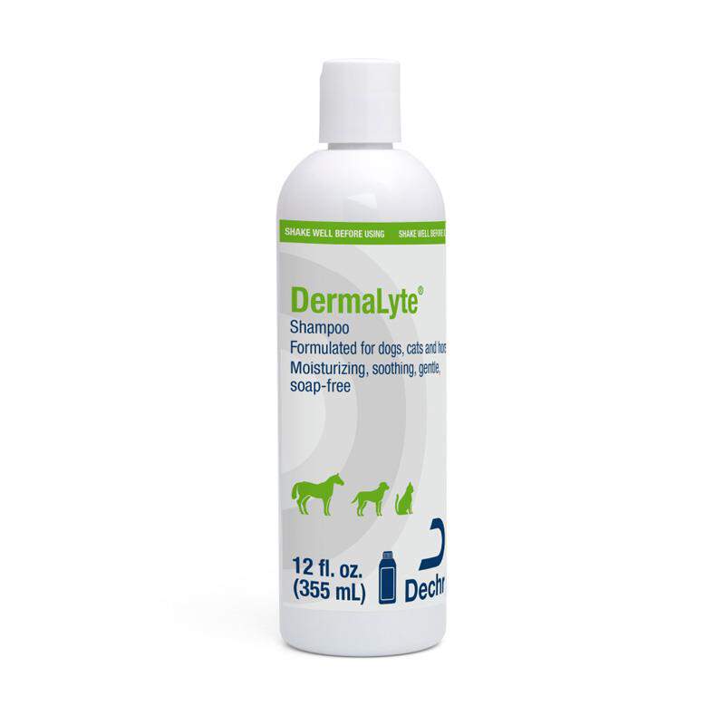 DermaLyte Shampoo