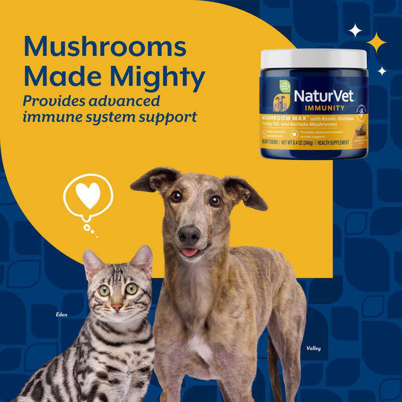 NaturVet Mushroom Max Advanced Immune Support with Turkey Tail Soft Chews for Dogs & Cats