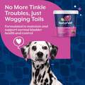 NaturVet Bladder Support Plus Cranberry Soft Chews for Dogs, 60 ct