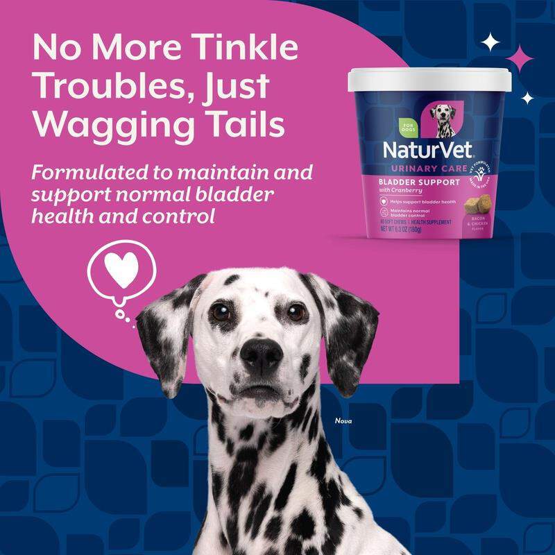 NaturVet Bladder Support Plus Cranberry Soft Chews for Dogs, 60 ct