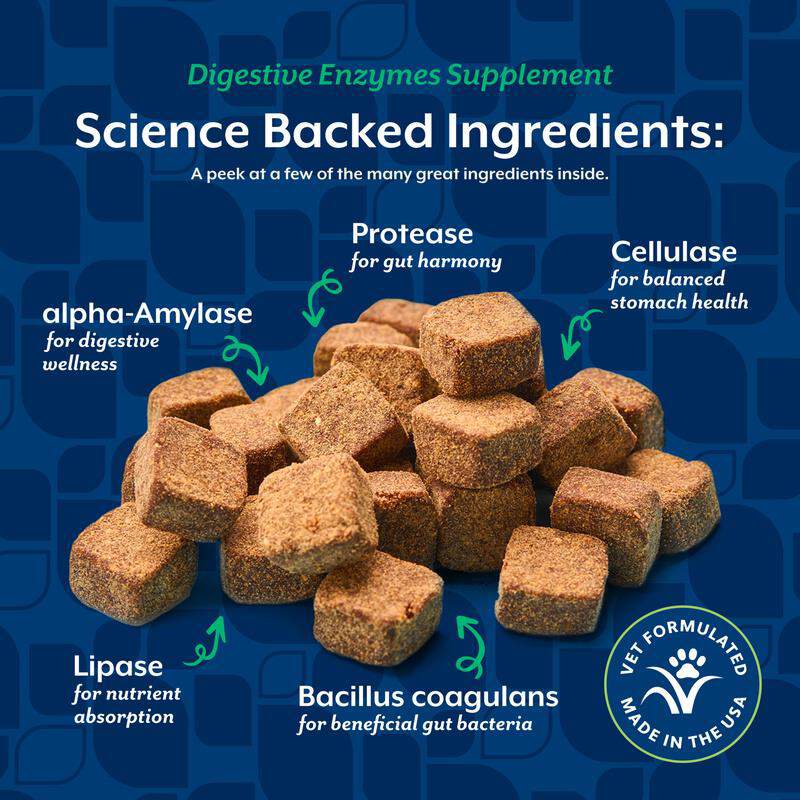 NaturVet Digestive Enzymes Plus Probiotic Soft Chews for Dogs