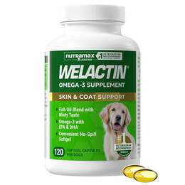 Nutramax Laboratories, Inc. Welactin Canine Softgel Capsules for Dogs, 120 Count