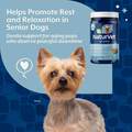 NaturVet Senior Advanced Calming Aid Soft Chews for Dogs