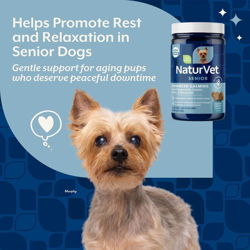 NaturVet Senior Advanced Calming Aid Soft Chews for Dogs