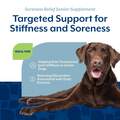 NaturVet Soreness Relief Senior Supplement for Dogs, 60 Count
