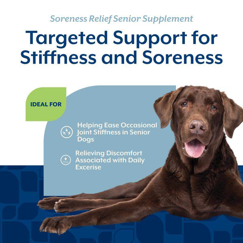 NaturVet Soreness Relief Senior Supplement for Dogs, 60 Count