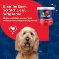 NaturVet Aller-911 Allergy Aid Plus Antioxidants for Dogs, 70 Soft Chews