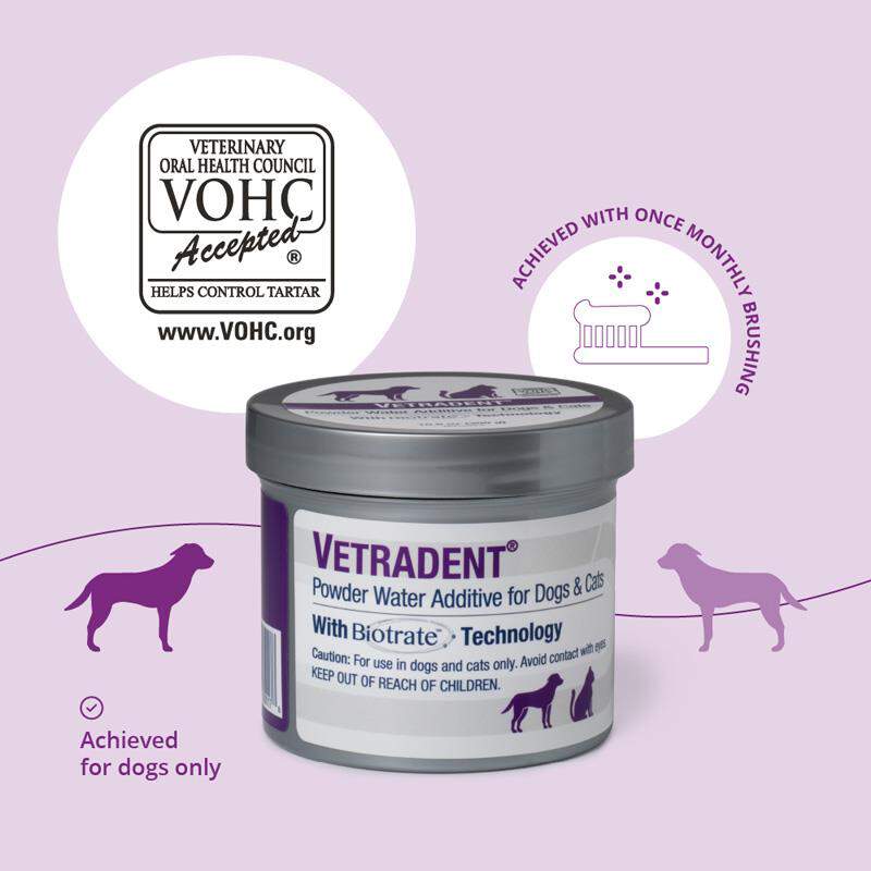 Vetradent Powder Water Additive for Dogs & Cats, 300 gm