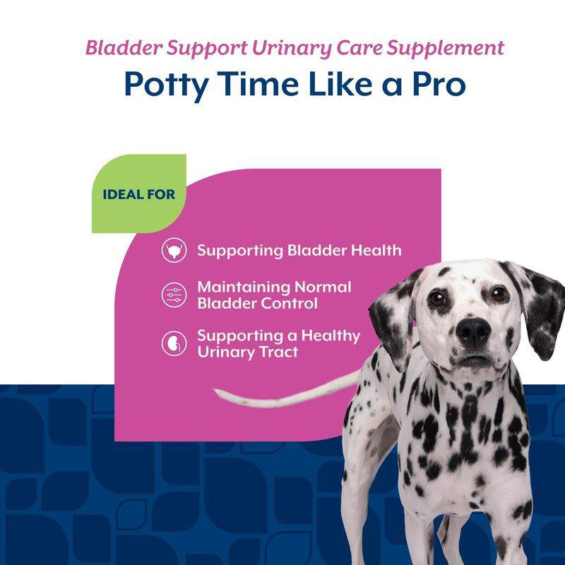 NaturVet Bladder Support Plus Cranberry Soft Chews for Dogs, 60 ct