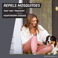 Frontline Shield for Dogs
