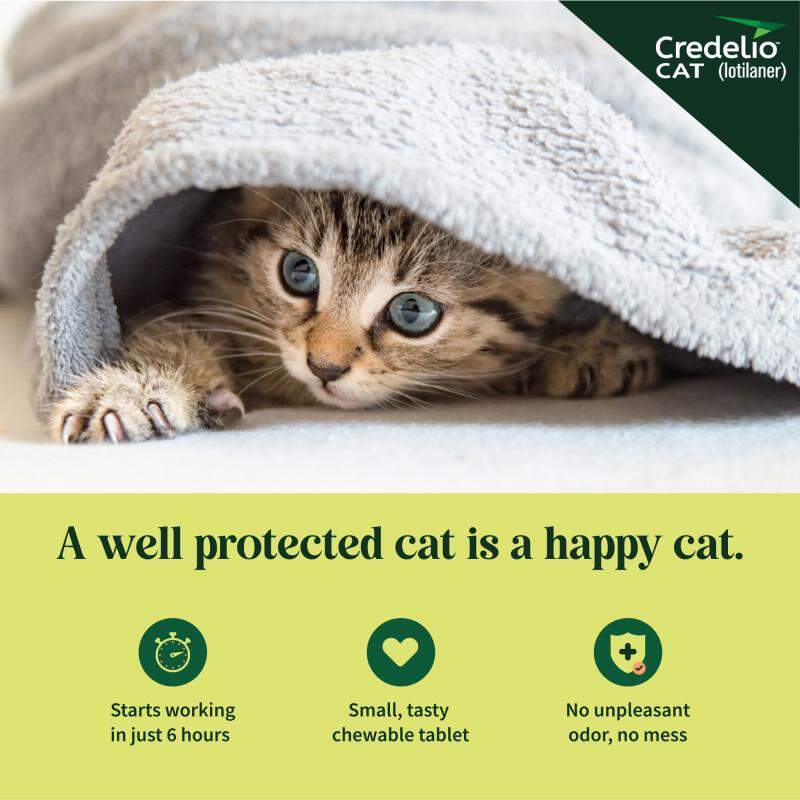 Credelio CAT Flea & Tick Chewable Tablets