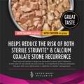 Purina Pro Plan Veterinary Diets UR Urinary Ox/St Savory Selects with Chicken + Salmon Wet Dog Food Variety Pack, 12 x 13.3 oz cans