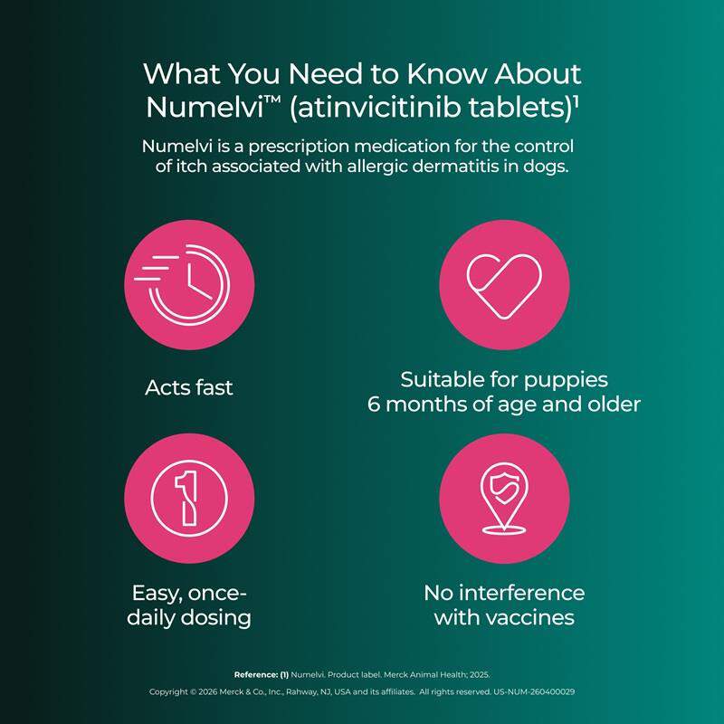 Numelvi (atinvicitinib tablets) for Dogs
