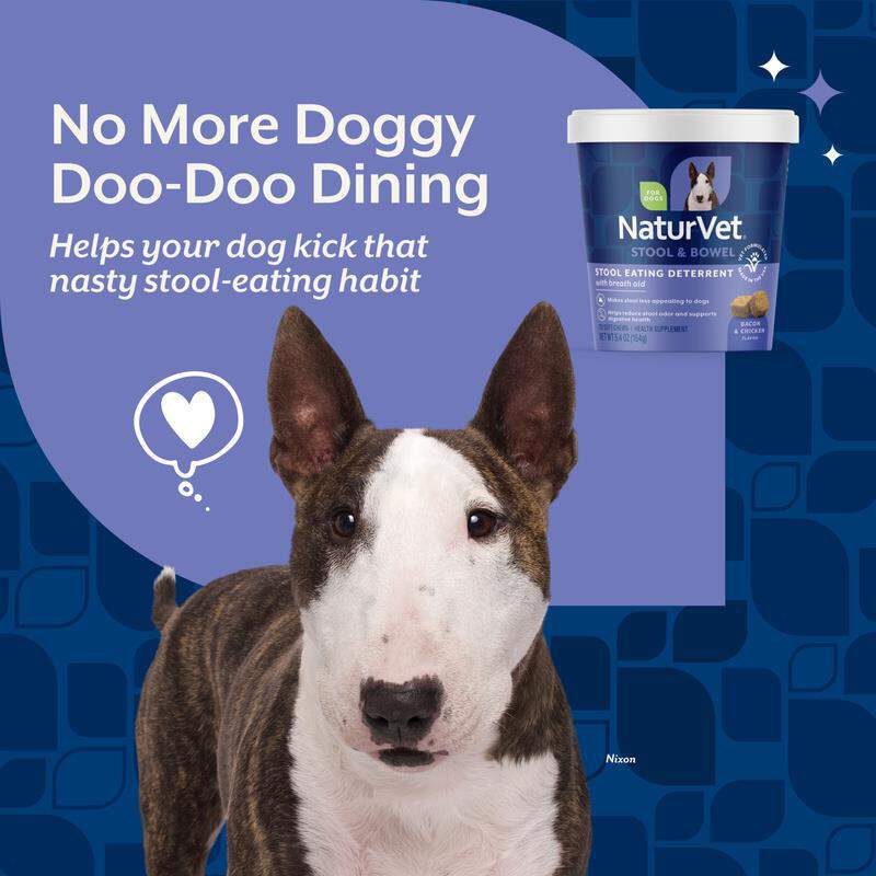NaturVet Stool Eating Deterrent Stool & Bowel with Breath Aid for Dogs, 70 Count
